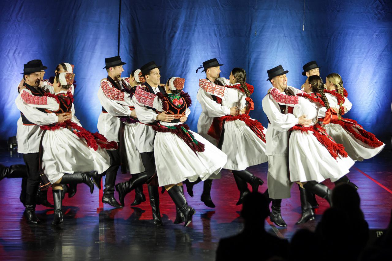 Zagreb: Humanitarni koncert Ladov korak za Korak u život