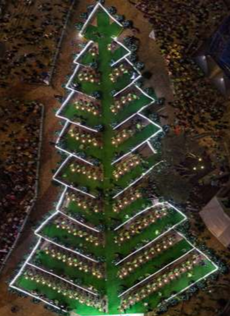 Event koji je oborio sve rekorde 2012. uključivao je 120 biciklista koji su pedaliranjem upalili 35 000 lampica u obliku božićnog drvca. Rekord je postavljen u Melbourneu u Australiji.