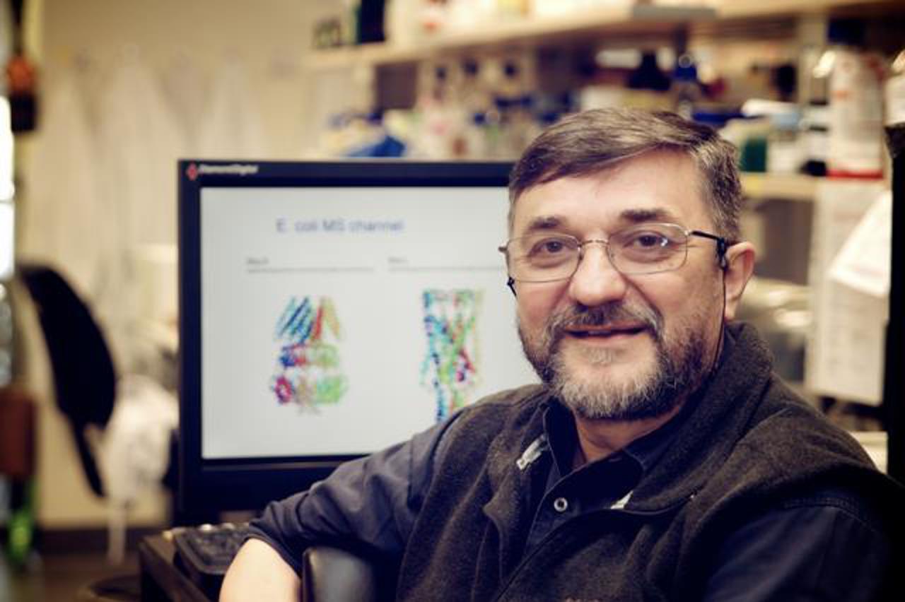 prof Martinac (1)