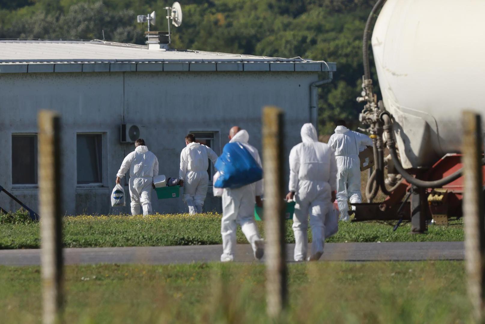 U dopisu medijima navodi se da je farma Sokolovac tvrtke "Belje plus" specijalizirana farma za tov svinja te predstavlja završnu fazu proizvodnog ciklusa i s navedene farme nema migracije životinja prema drugim farmama.

