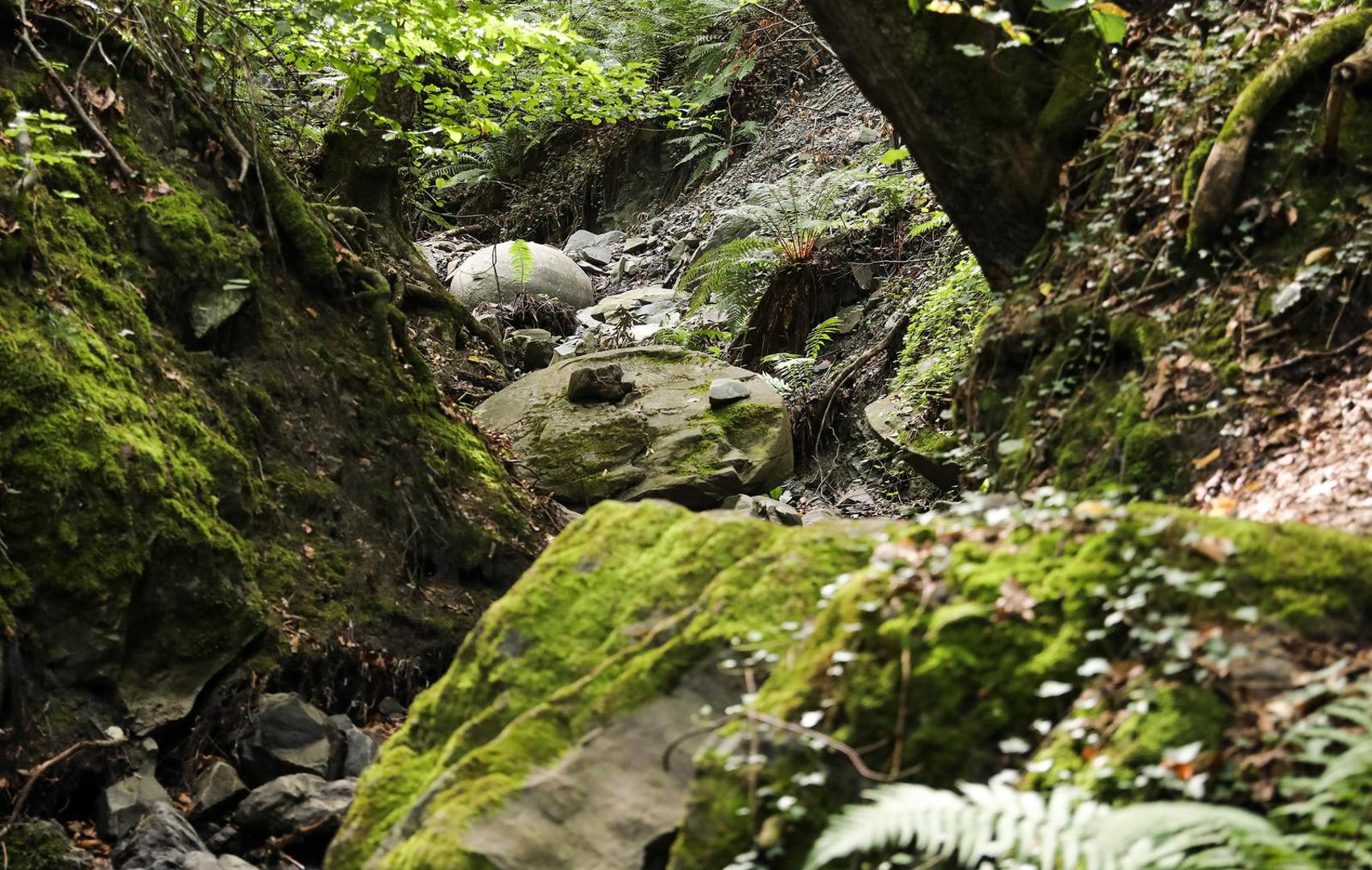 09.08.2023., Zavidovici, Bosna i Hercegovina moze se pohvaliti necim sto se moze pronaci na jos vrlo malo lokacija u svijetu, kamenim kuglama u Zavidovicima. Ovo najvece nalaziste kamenih kugli u Europi, i najmisterioznije mjesto u citavoj zemlji, s obzirom na to da niko sa sigurnoscu ne moze reci kako su ove kugle savrseno preciznog oblika, koje izgledaju kao da ih je neko nacrtao, dospjele na ovo mjesto. Do danas ih je pronadjeno oko 60, od kojih je 11 sacuvano u odlicnom stanju i sve su poredane uz potok u sumi i nalaze se blizu jedna druge. Vjeruje se kako su kamene kugle veliki izvor pozitivne energije a vec slicne postoje u Meksiku, Kostarici i nekim drugim zemljama Juzne Amerike. Photo: Emica Elvedji/PIXSELL