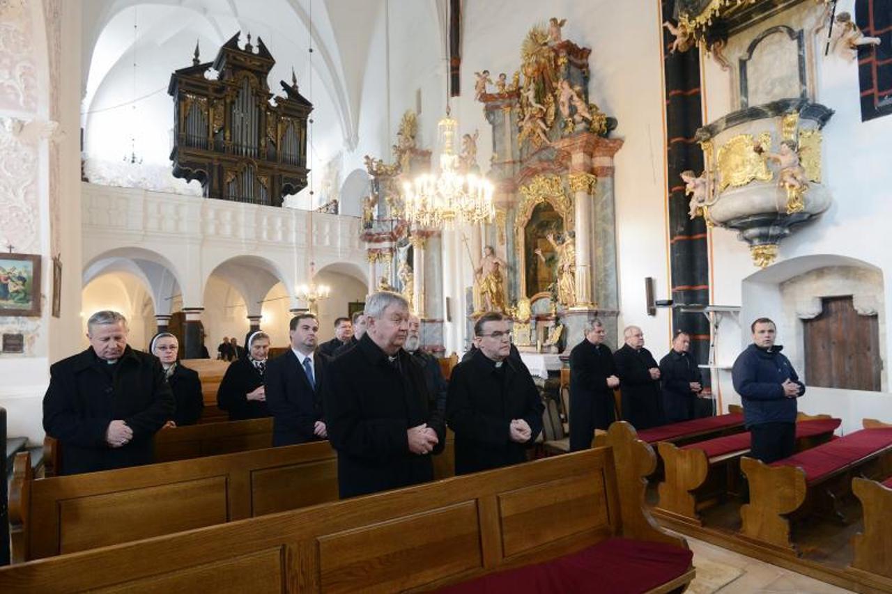 bozanić