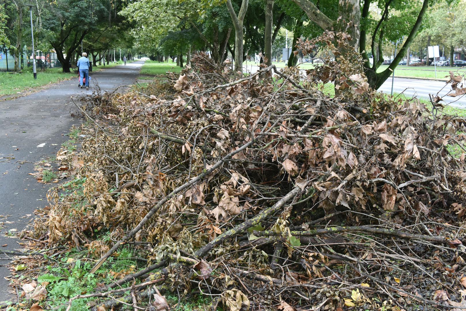 30.8.2023., Zagreb - Reportaza iz Novog Zagreba cije su javne povrsine zapustene. Photo: Davorin Visnjic/PIXSELL