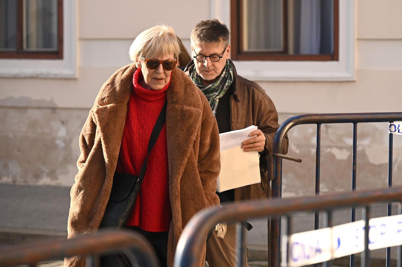 Zagreb: Sanja Sarnavka predaje potpise u Vladu i na Ustavni sud