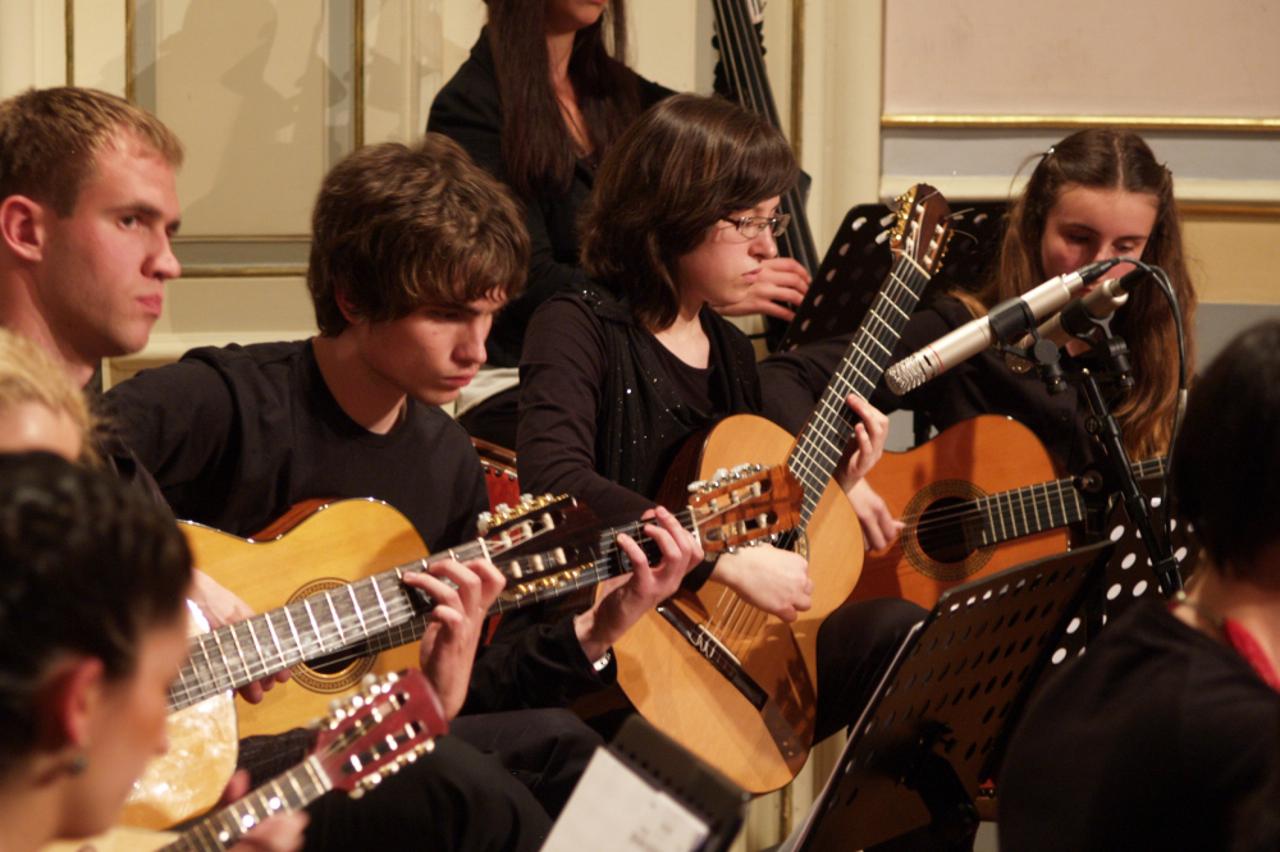 Hrvatski mandolinski i gitarski orkestar