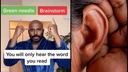 Internet Divided by Audio Illusion: Do You Hear 'Brainstorm' or 'Green Needle'?