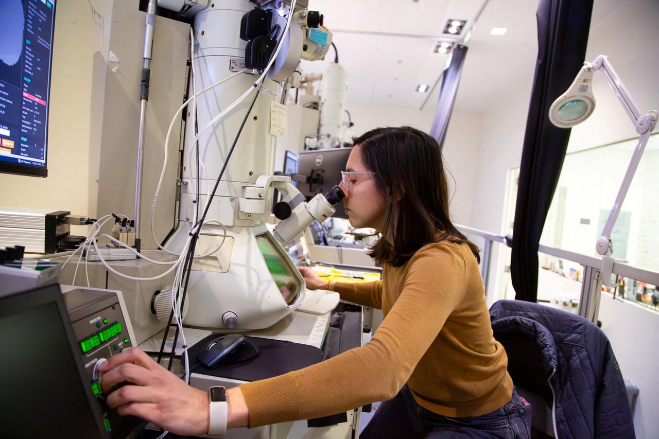 Scientists produce painstaking wiring diagram of a mouse's brain