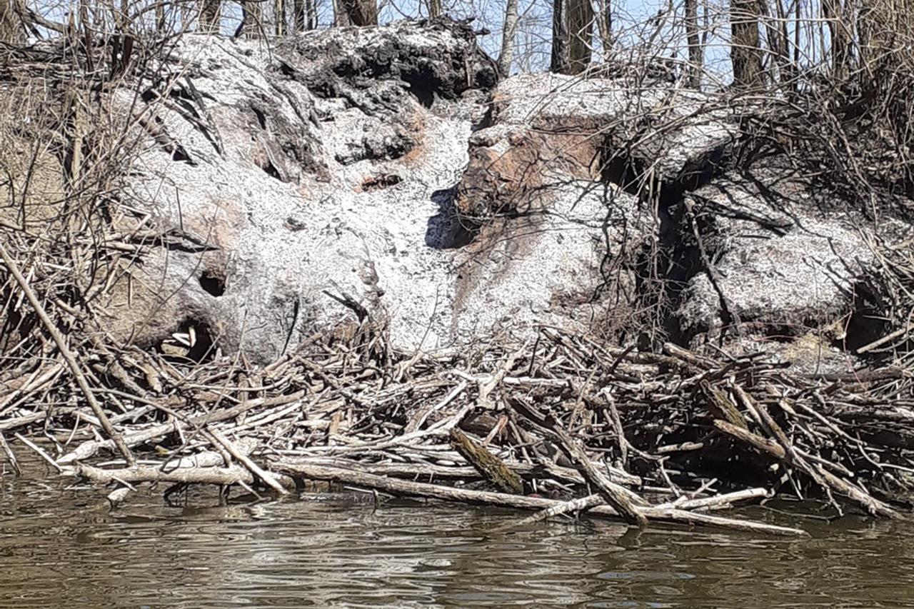 PARK PRIRODE LONJSKO POLJE