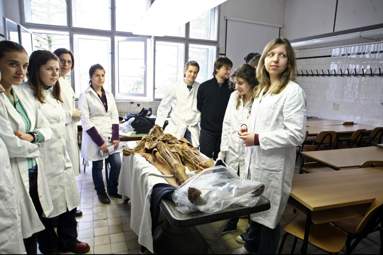 medicina