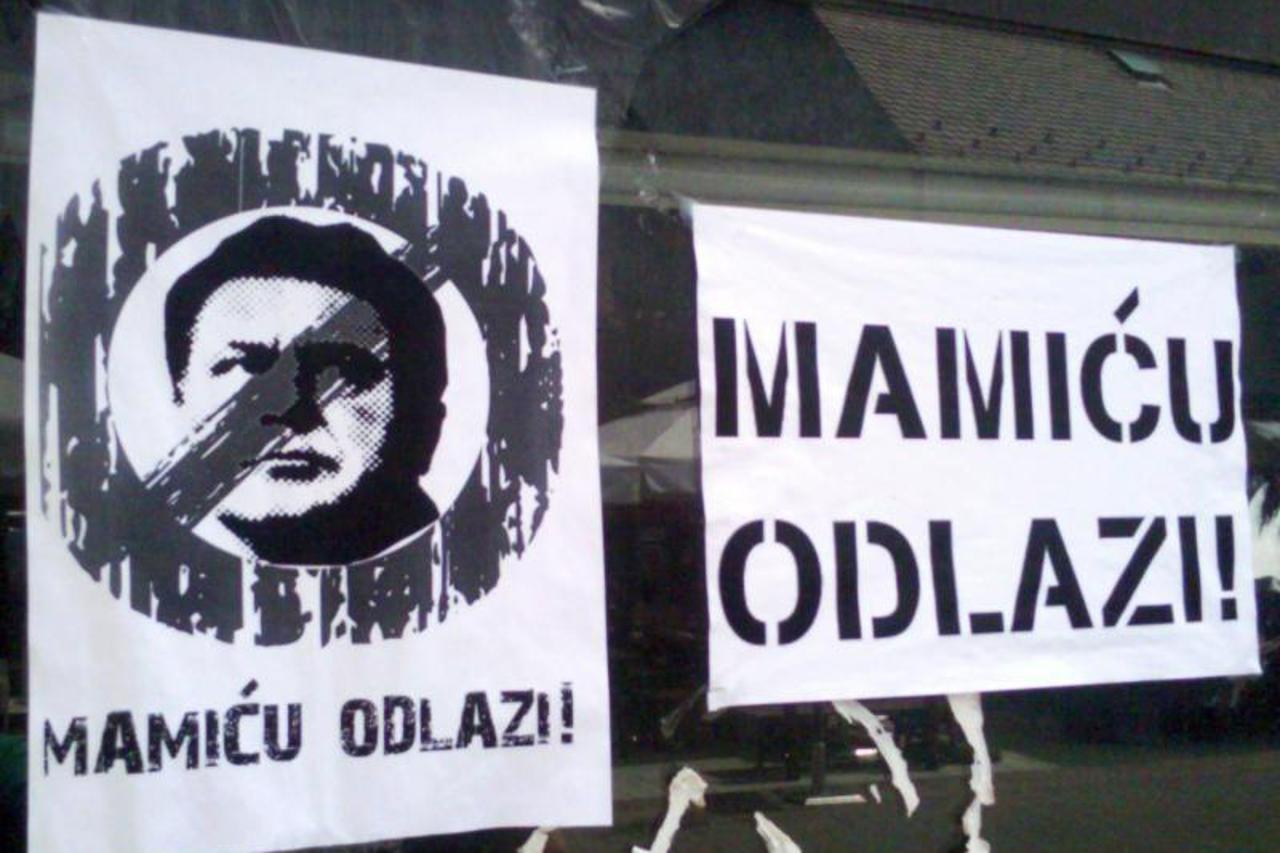 mamic (1)