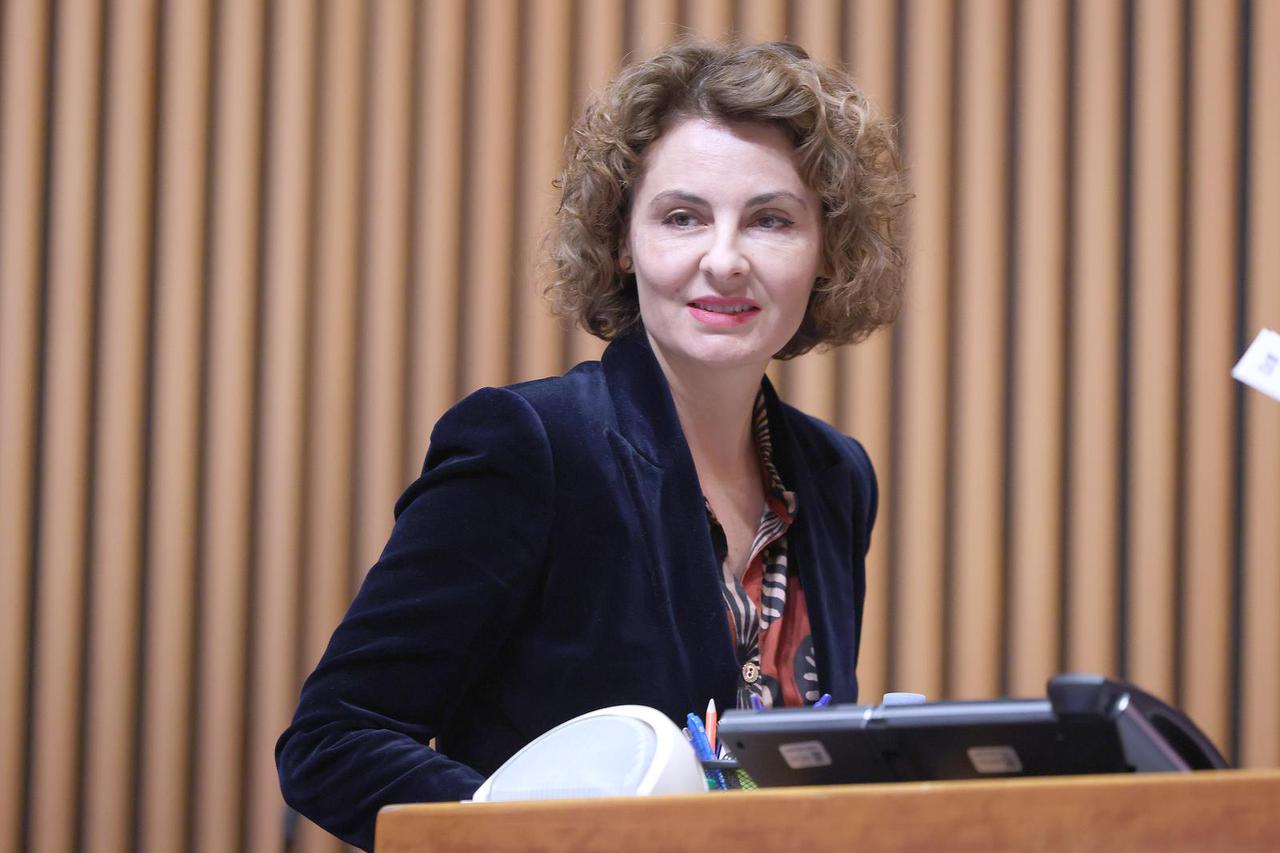 Zagreb: Sabor o izmjenama Zakona o nadzoru drzavne granice