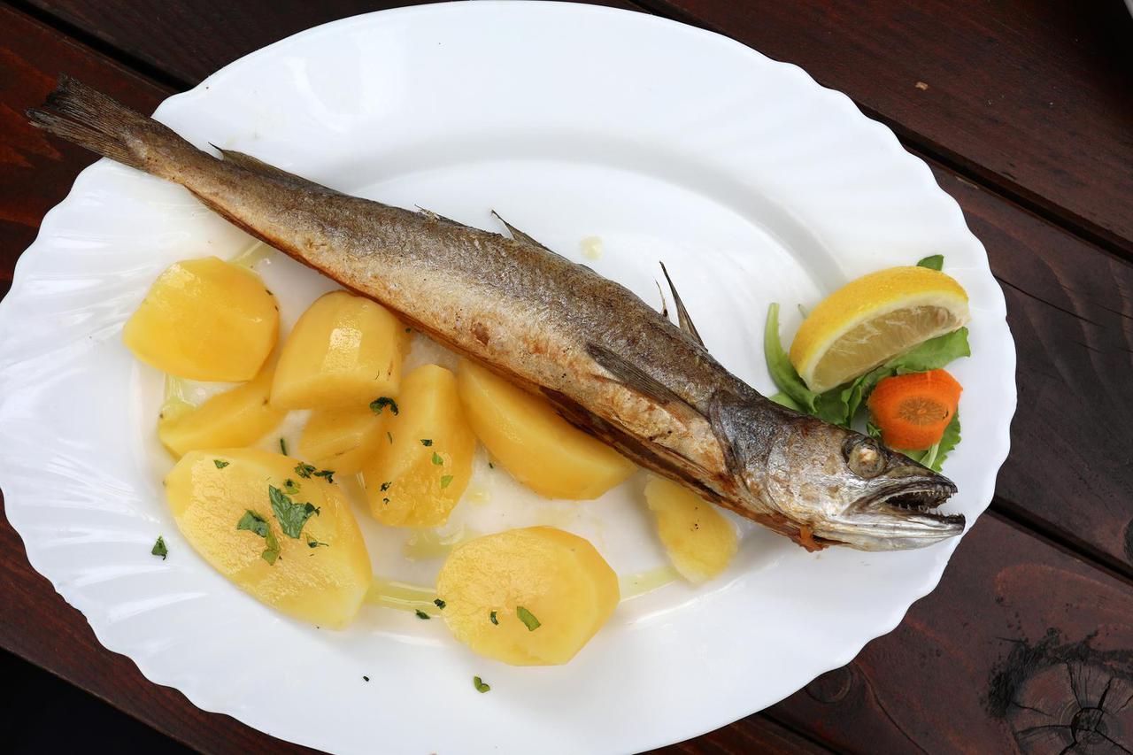 Bakarac: Turistička patrola Večernjeg lista