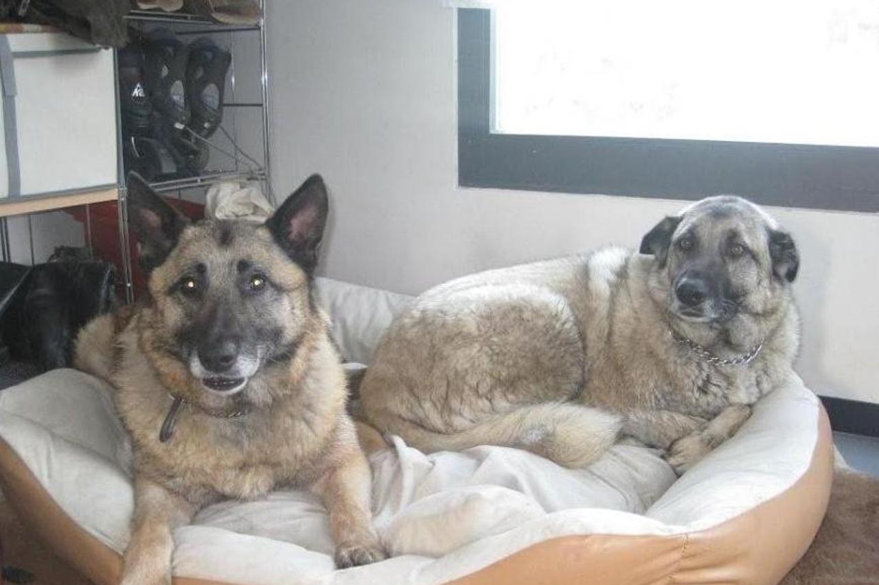 Knjiga prijatelju, pričaj moju priču