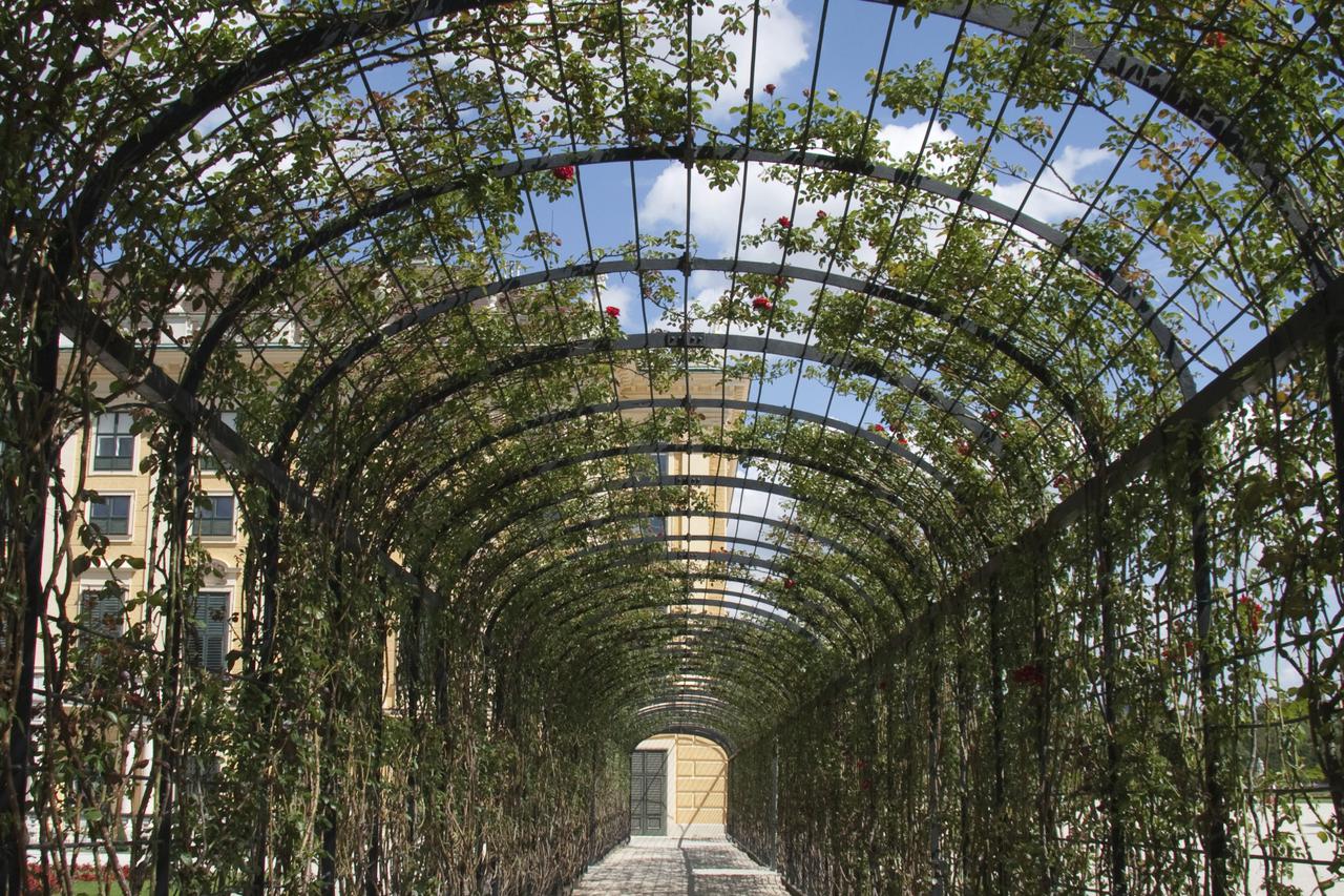 pergola