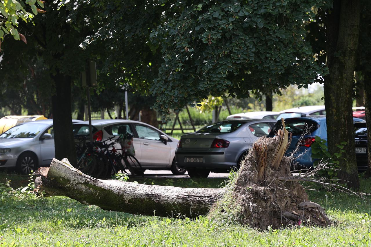 Zagreb: Inspekcija o zapuštenosti i nezapuštenosti gradskih kvartova