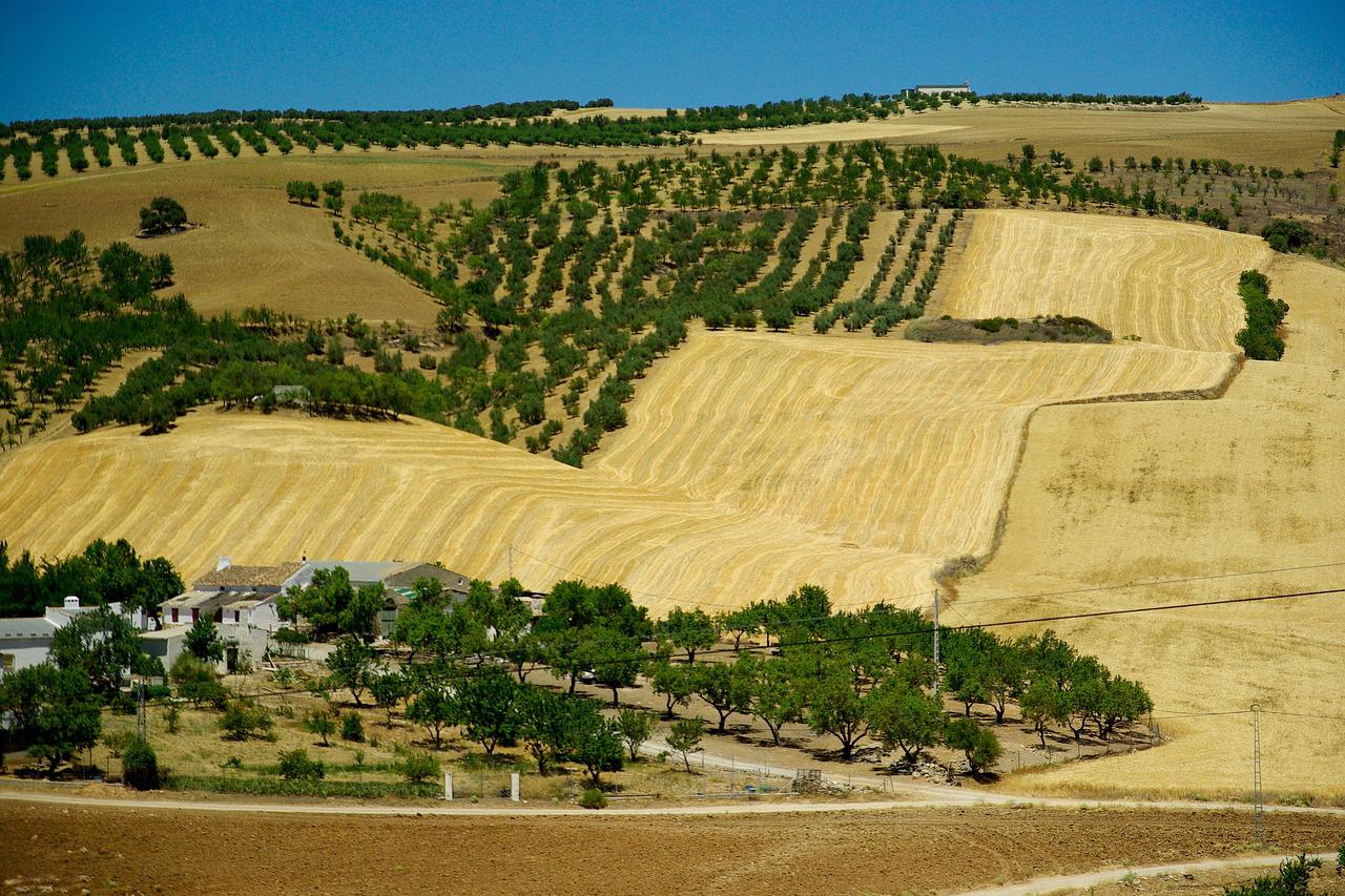 Andaluzija