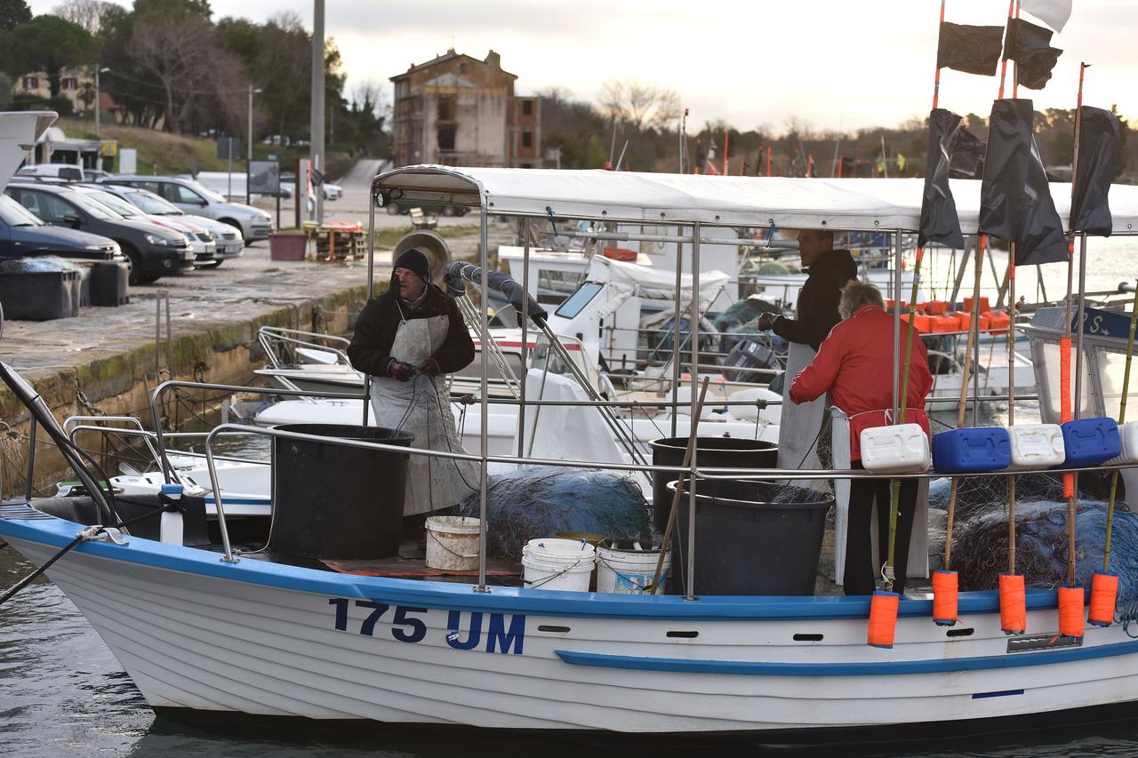 Stratezi podvijena repa “izračunali” su da je ukupna godišnja vrijednost izlovljenih švoja 25.000 eura, pa bi valjda trebali prodati Sloveniji, ako nam i to ponude, cijeli zaljev za vrijednost prosječnog beka