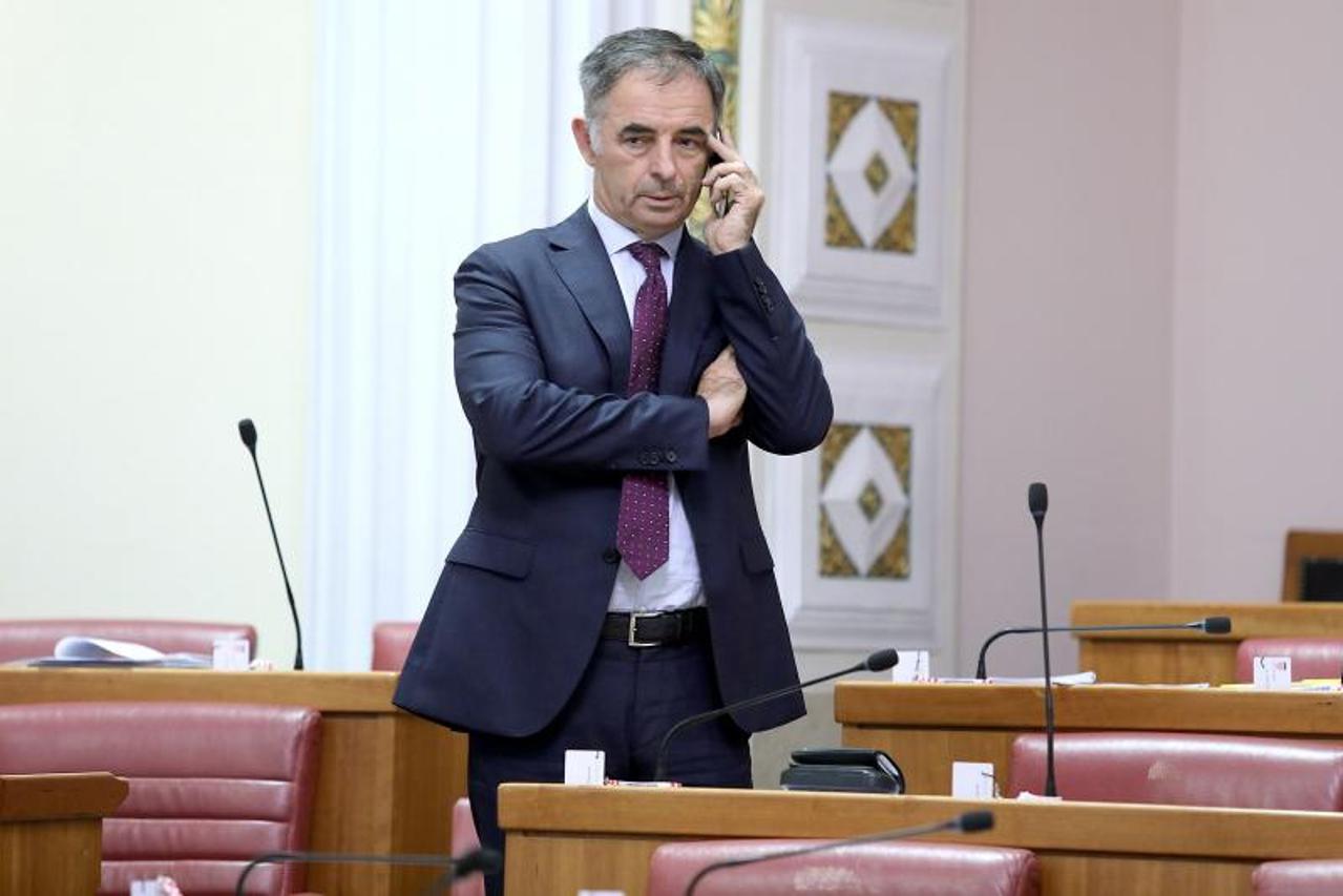 milorad pupovac