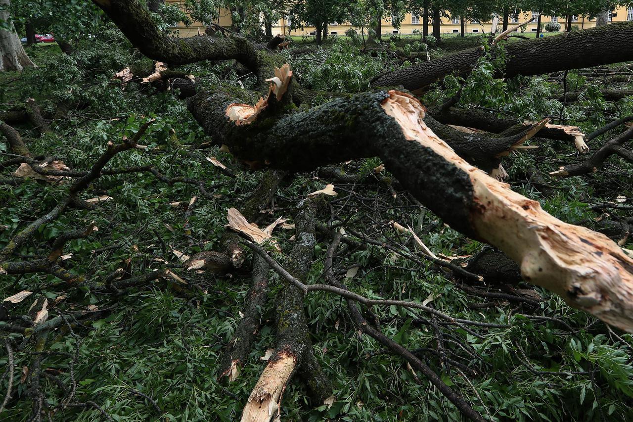 Zagreb: Olujni vjetar porušio stoljetna stabla u parku psihijatrijske bolnice Vrapče