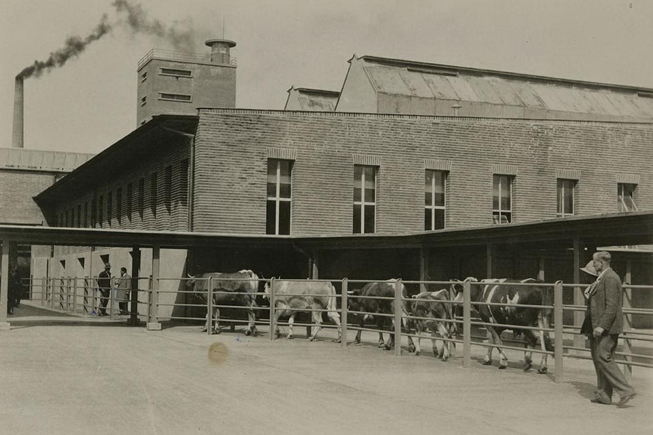 industrija (1)