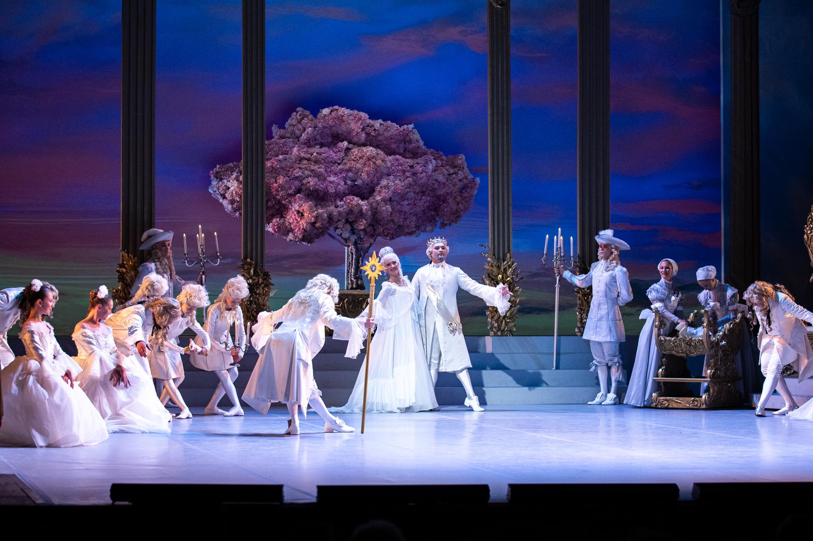 Balet "Trnoružica" strukturiran je kroz prolog i tri čina. U prologu se na krštenju princeze Aurore izriče kletva zle vile Carabosse, koju dobra Vila Jorgovana ublažava. U prvom činu, na Aurorin šesnaesti rođendan, kletva se ostvaruje te princeza tone u stoljetni san. Drugi čin donosi princa Florimunda koji nakon sto godina pronalazi Auroru i budi je poljupcem, dok u trećem činu slijedi raskošno vjenčanje i slavlje uz brojne bajkovite likove