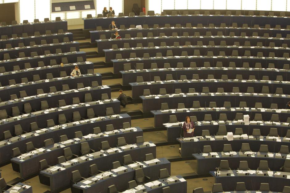 Dubravka Šuica u Europskom parlamentu