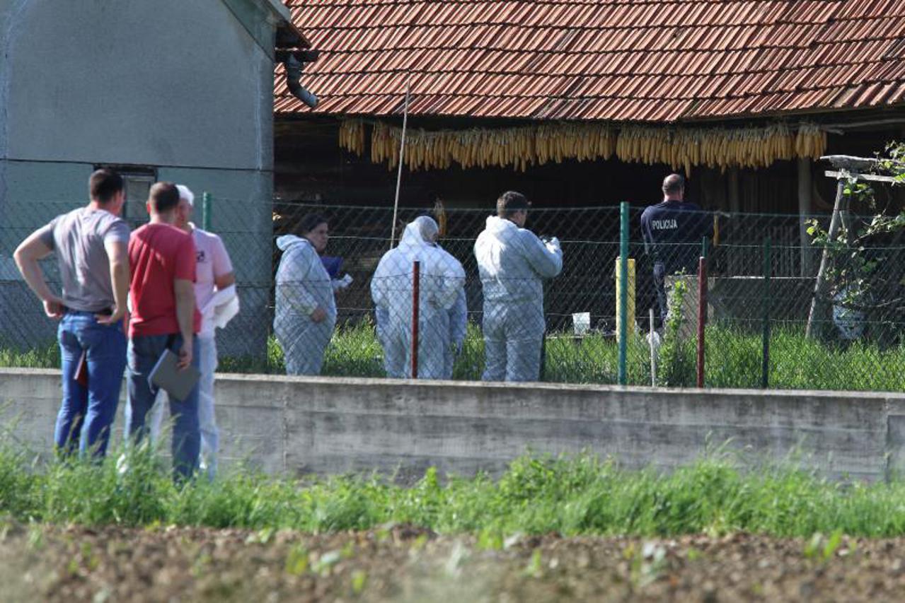 jakovlje,policija,pretučena starica (1)