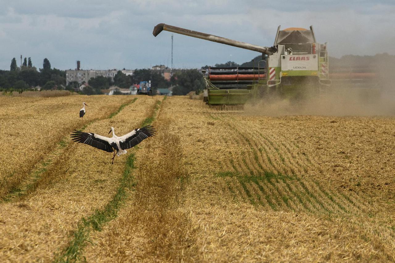 FILE PHOTO: Wheat harvesting in Kyiv region amid Russia's attack on Ukraine