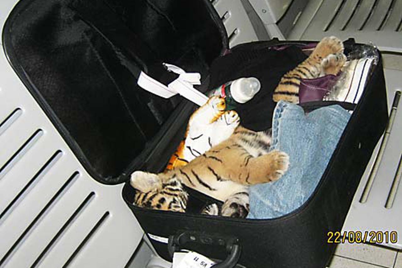 Tigar1