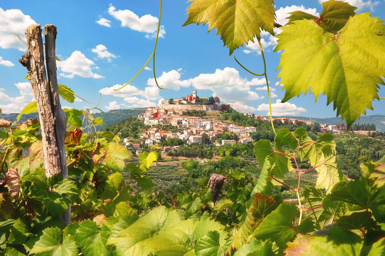 Motovun