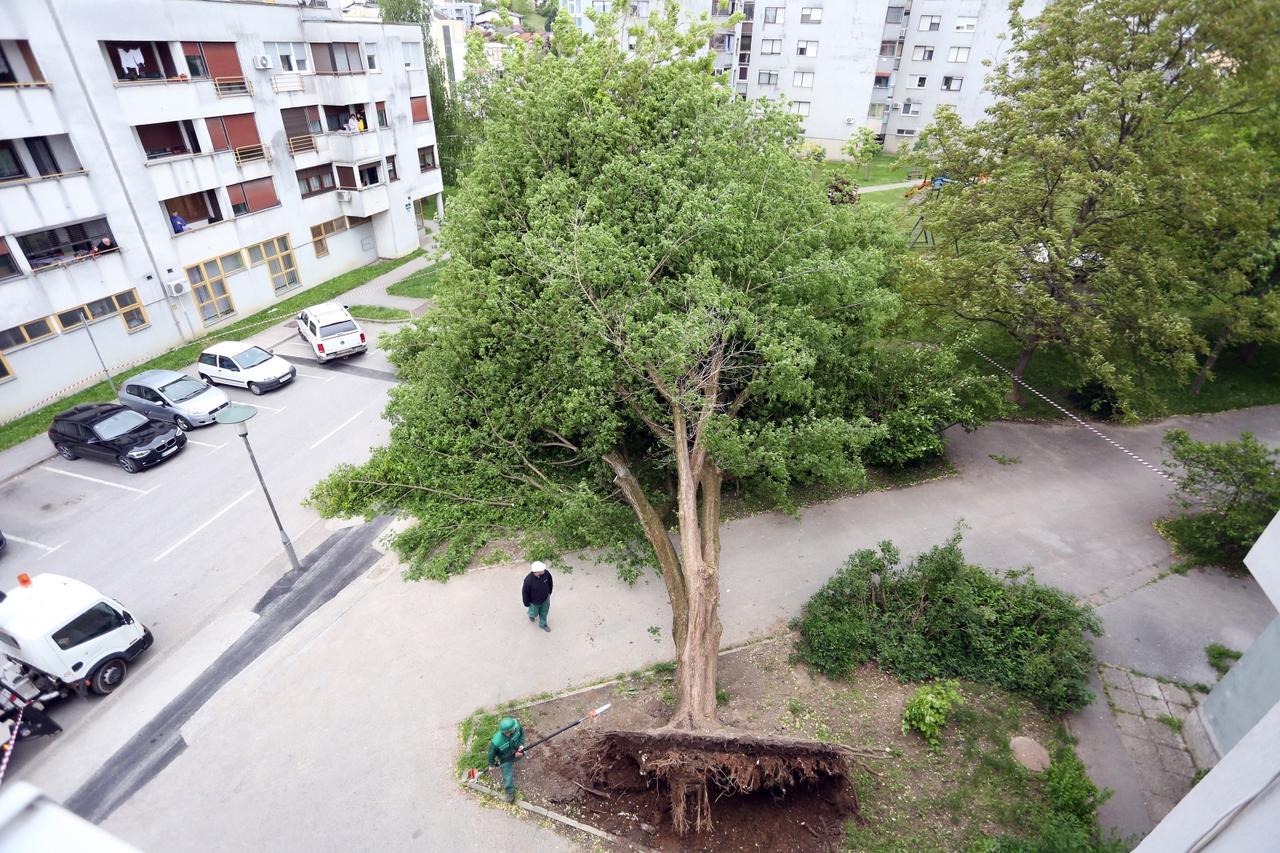 Vjetar srušio stabla u Karlovcu