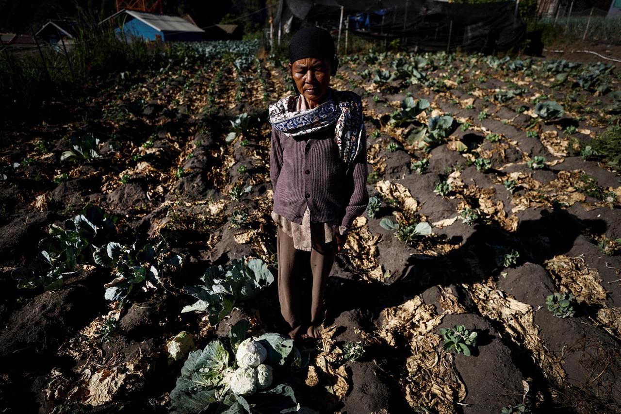 The Wider Image: Indonesia's Tenggerese pray for rain as climate change threatens crops