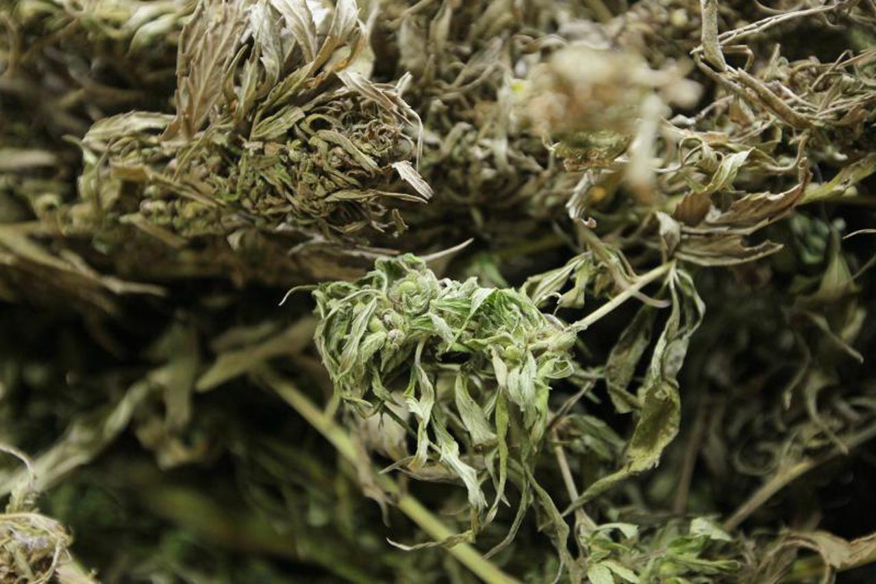 trava,marihuana