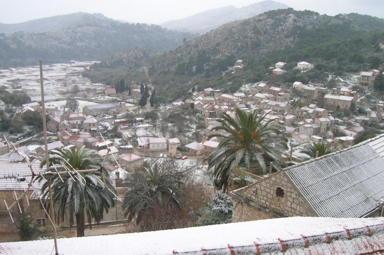 snijeg, lastovo (1)