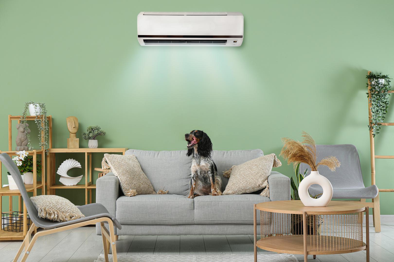 Pravila za korištenje klime uz kućne ljubimce ista su kao i za ljude: izbjegavajte izravan tok zraka te nastojte smanjiti razliku između unutarnje i vanjske temperature. Redovito čišćenje također je ključno, jer su ljubimci, baš kao i ljudi, osjetljivi na bakterije i plijesan koja se može nakupiti u uređaju.