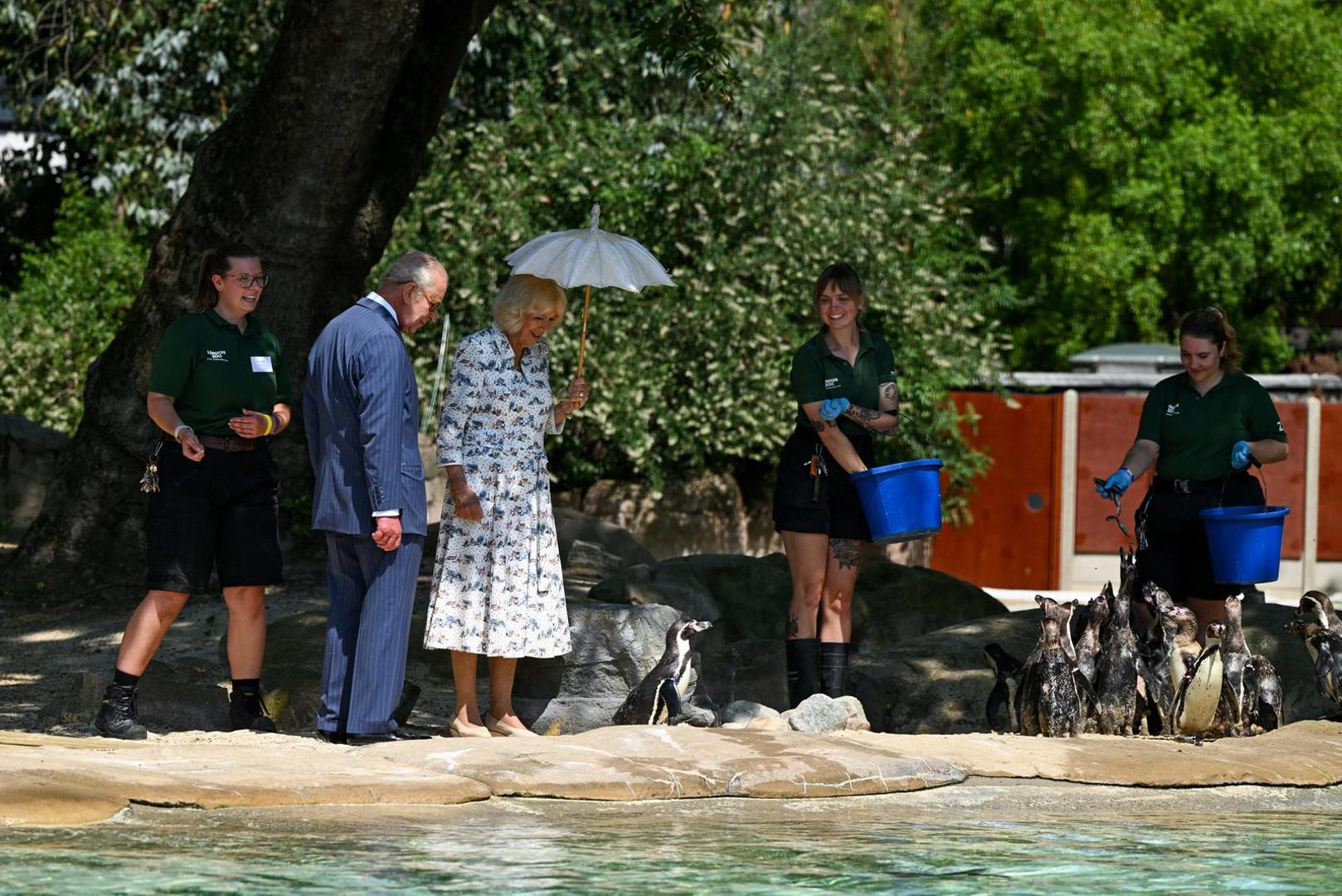 Kralj i kraljica tamo su se uputili povodom 200. obljetnice postojanja Zoološkog u Londonu, a to je ujedno bio i prvi službeni posjet kralja u ulozi kraljevskog pokrovitelja vrta.