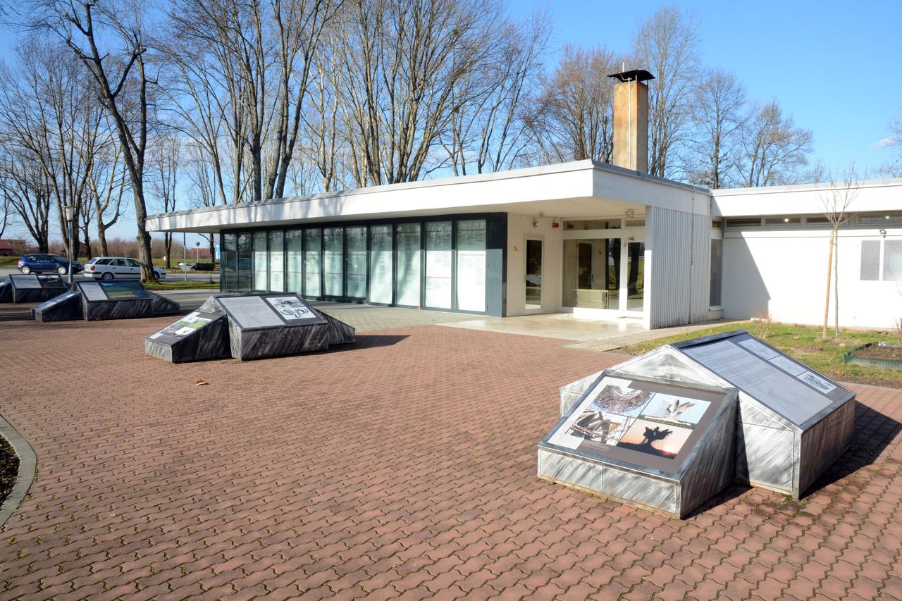 Jasenovac: Ivo Pejakovi?, ravnatelj Spomen-podru?ja Jasenovac 