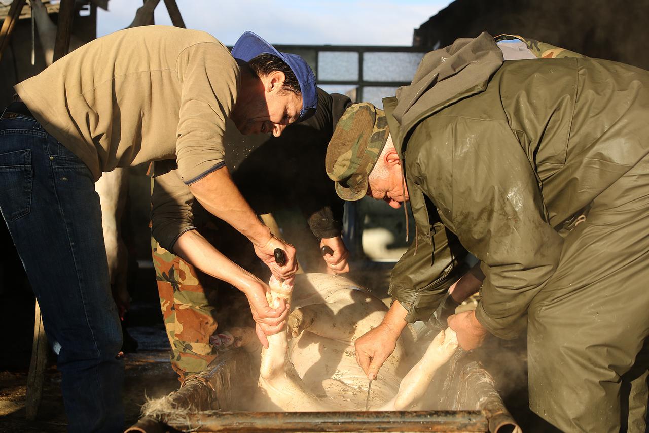 20.11.2014., Gasinci - Tradicionalna svinjokolja od davnina se obavlja i u ovim zimskim mjesecima. Domaca prerada mesa uobicajena je za sva seoska obiteljska imanja. Photo: Marko Mrkonjic/PIXSELL