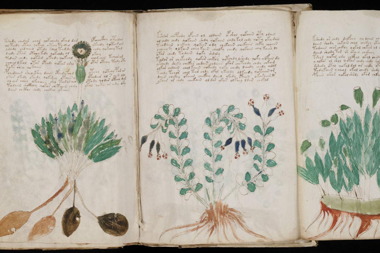 Znanstvenici desetljećima pokušavaju odgonetnuti tajanstveni Voynichev rukopis