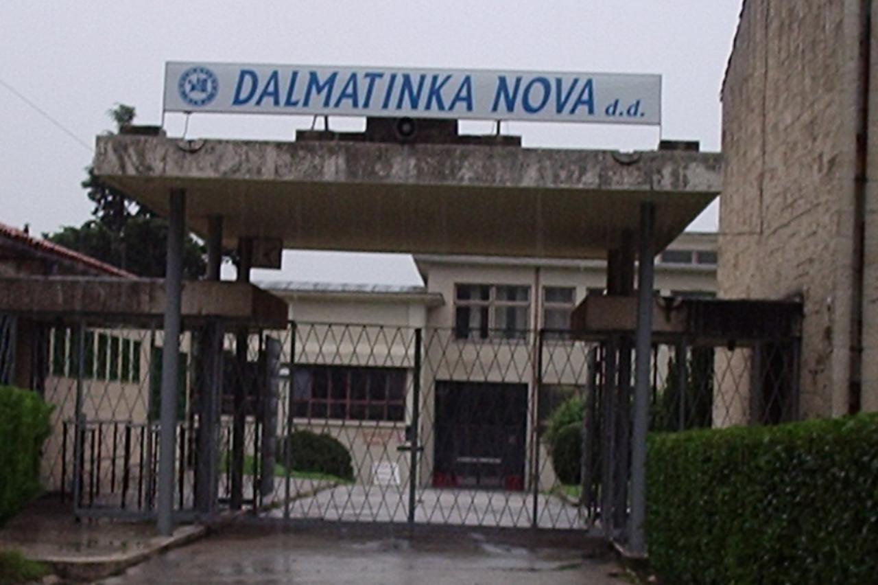 dalmatinka nova