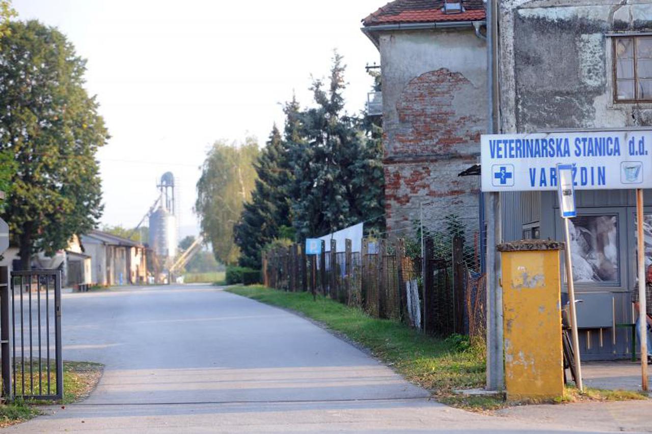 Bik, Veterinarska stanica Varaždin (1)