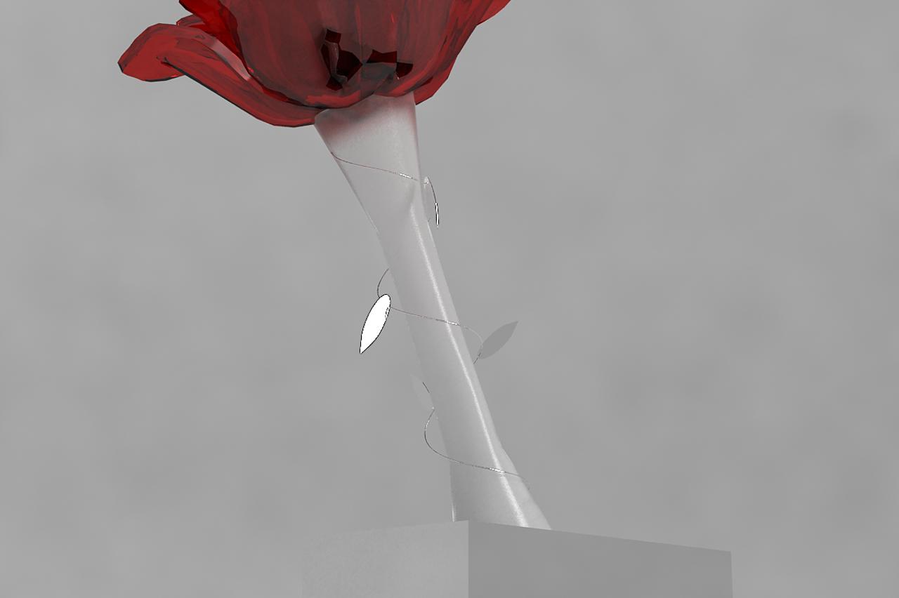 Večernjakova ruža nagrađuje