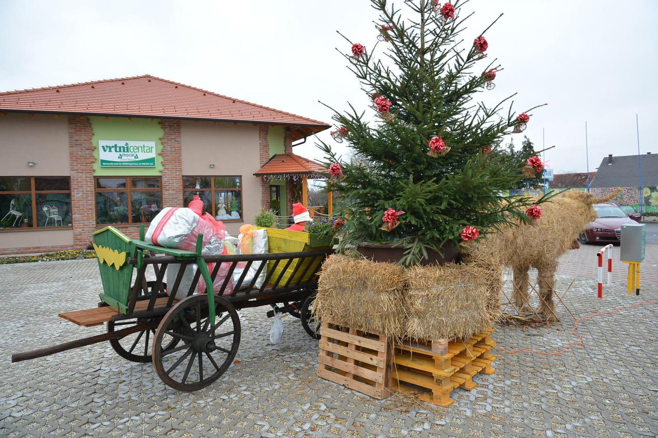 Koprivnica: Djed Mraz privla?i kupce u Vrtni centar