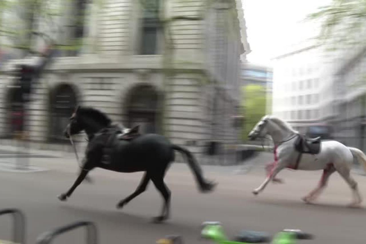 konji u Londonu