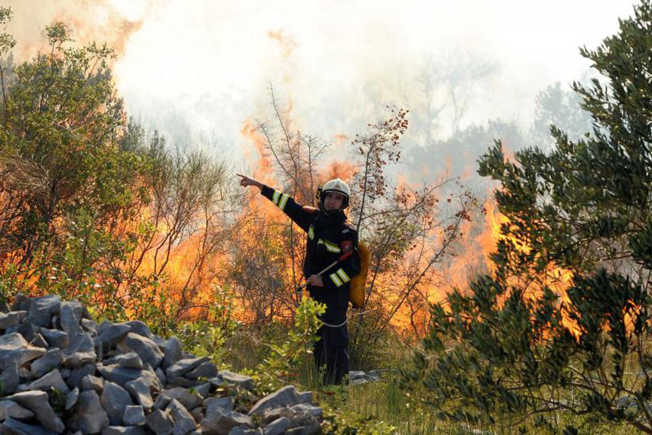 požar, vatrogasci, kanader (1)