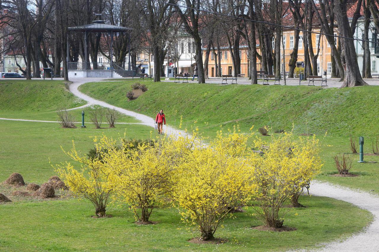 Karlovac: Rascvjetale forzicije u parkovima