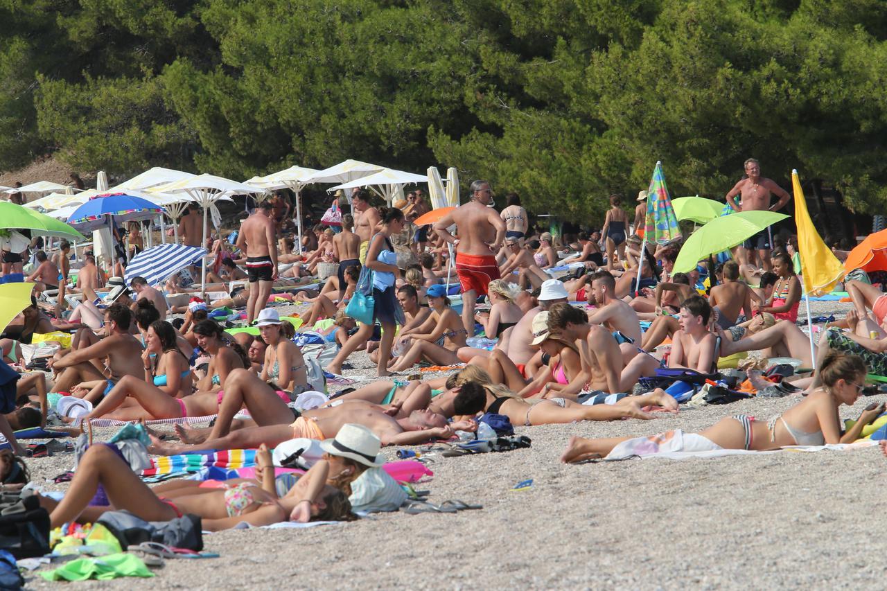 Zlatni rat