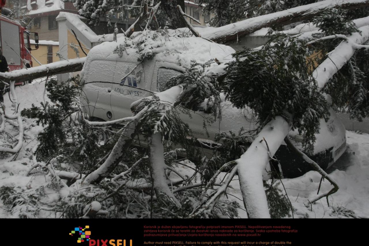 '08.12.2012., Zagreb - Vatrogasci na terenu pile grane na stablu koje je palo na krizanju Nove Vesi i Sinkoviceve ulice. Stablo je padom ostetilo i zagradilo nekoliko parkiranih automobila.  Photo: Ma