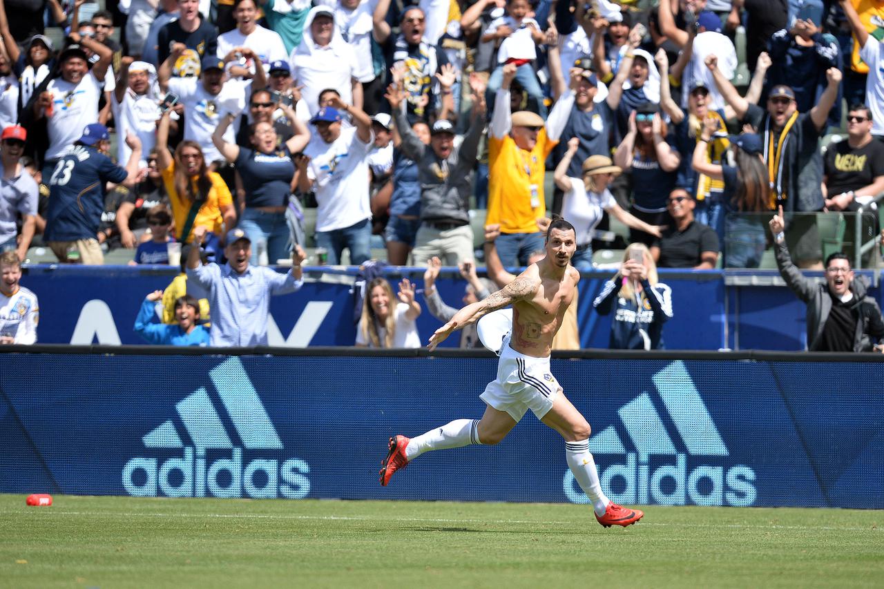 Zlatan Ibrahimović, Maksimir