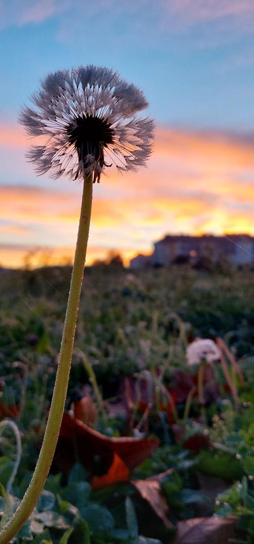 Uvod je to u još jednu iznadprosječno toplu nedjelju. 